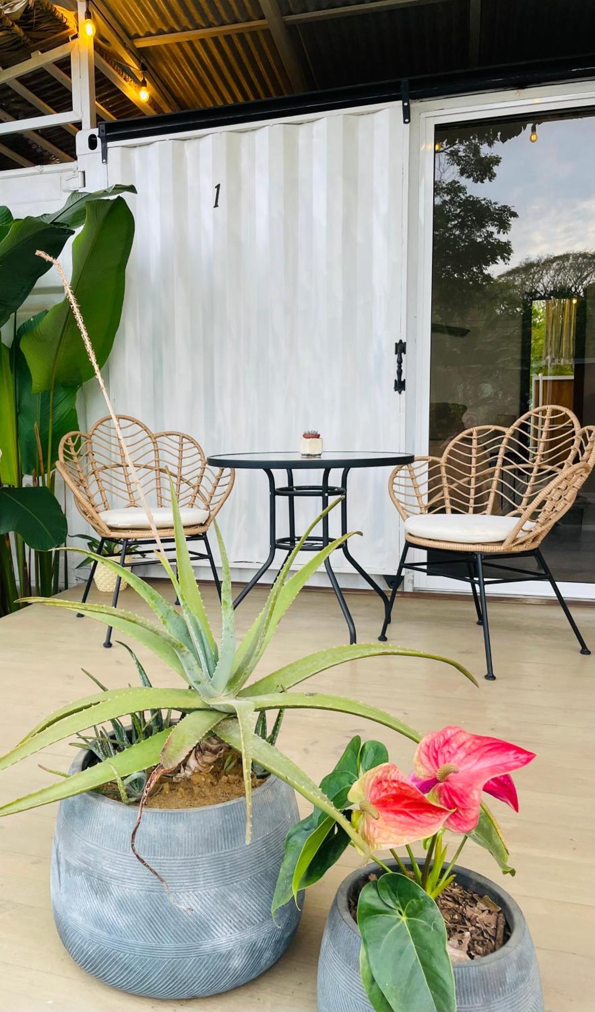 Bed and Breakfast Casa Luce Puerto Viejo de Talamanca Екстер'єр фото